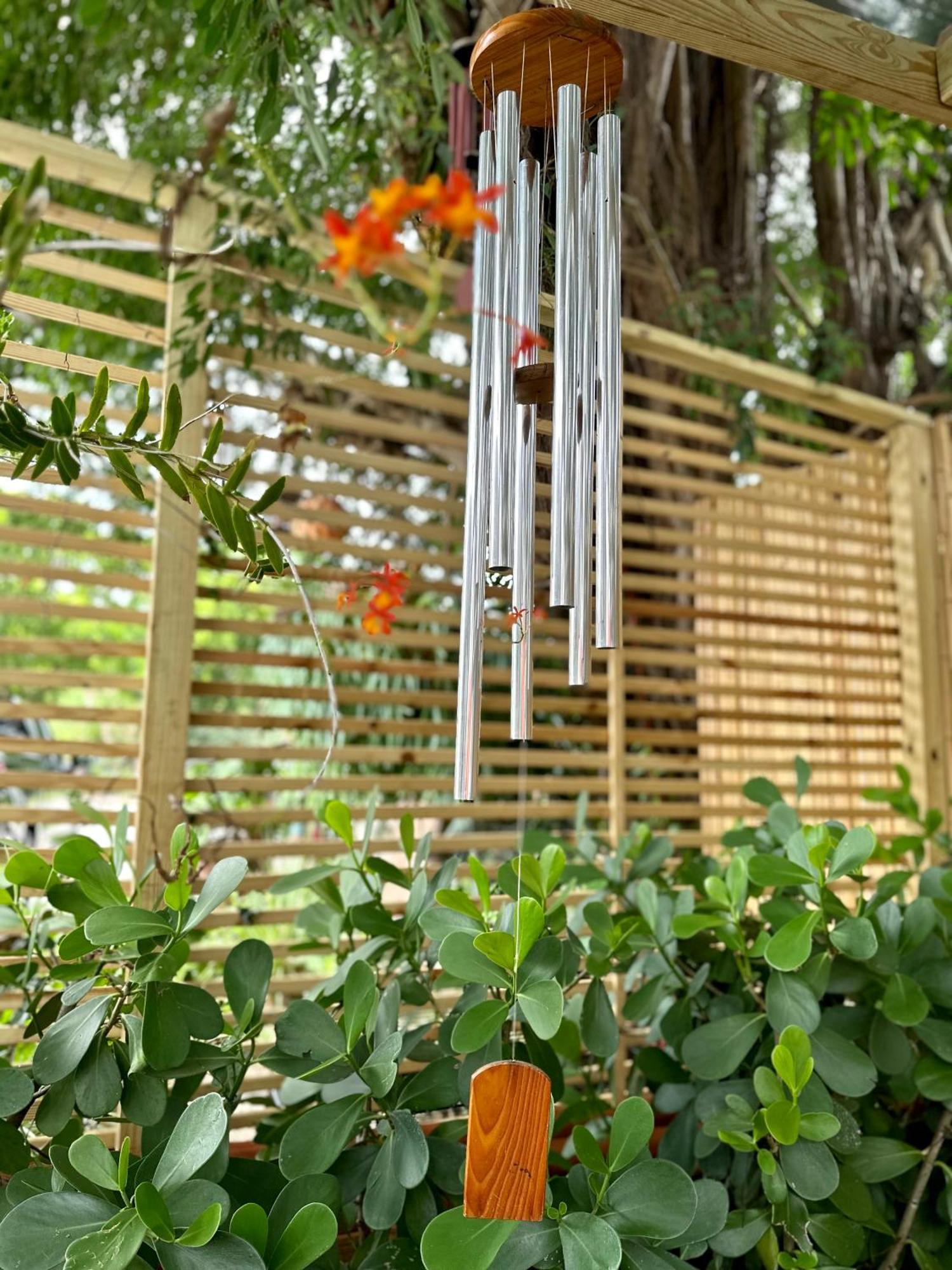 Flora'S Garden Apartment/Studio North Miami Exteriör bild